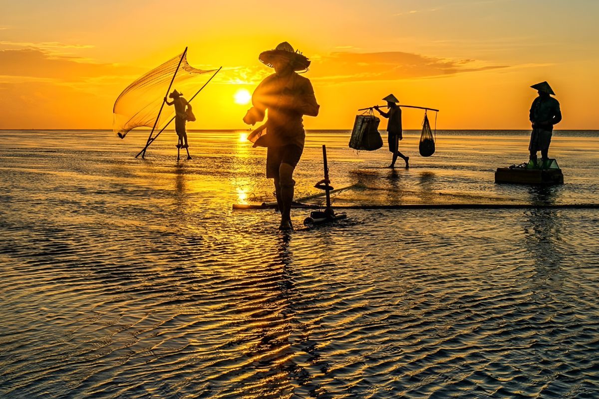 Local Fishermen at Infinity Sea Hung Yen(Thai Binh) 